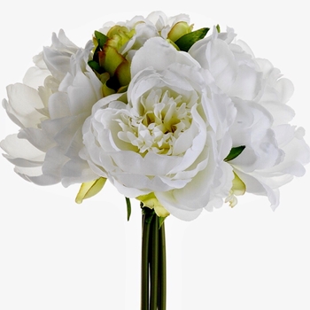 Peony - Bouquet White Cream 9.5in - FBQ315-WH