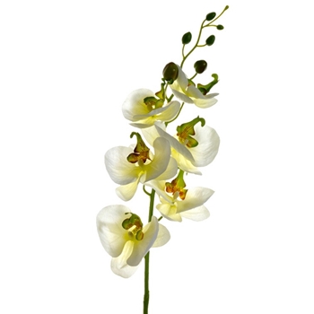 Orchid - Phalaenopsis Yellow 33IN - FSO117-CR/YE