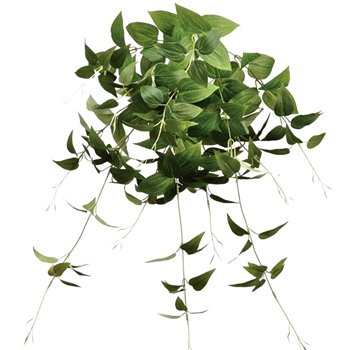 Clematis - Leaf Pick Cascade 30in Green - PBC196-GR