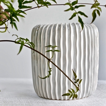 Vase - Haven White 7W/7H
