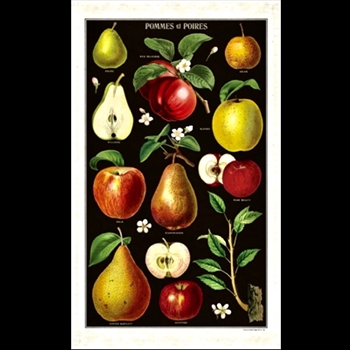 Tea Towel - Apples & Pears 19x32 100% Cotton - Italy