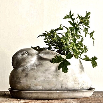 Planter - Rabbit With Plate Cement 10x6x5H