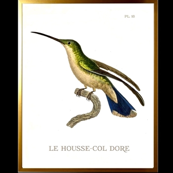 10W/12H Framed Glass Print Hummingbird #18 Left