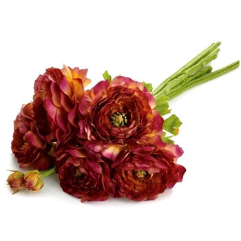 Ranunculus - Cayenne/Plum Bouquet Bundle 14in