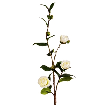 Camellia - White 31in - FSC031-CR
