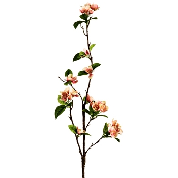 Blossom - Quince Coral 31in - FSB040-CO/TT