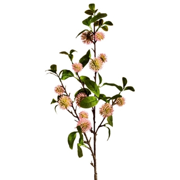 Blossom - Sweet Gum Pom Branch Blush Pink 33in - FSF005-PK/GR