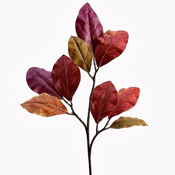 Magnolia - Leaf Cutting Tapestry Burgundy 36in - PSM222-FA