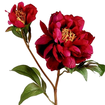 Peony - Vintage Ruby Beauty 22in - HSP619-BT