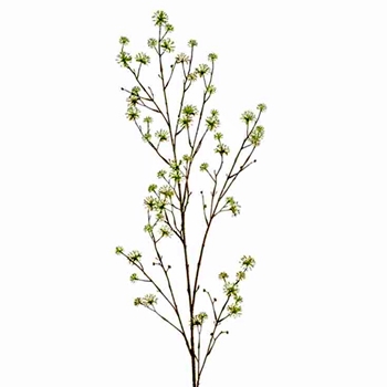 Blossom - Cornus Branch 55in Celery Green - FSC050-CR