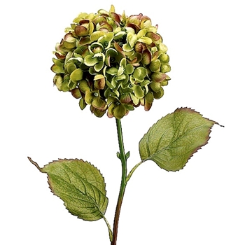 Hydrangea - Globe Olive 23in - ZSH786-GR/BU