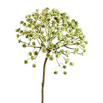 Blossom - Gypsophila Pom - Kiwi Green 29in - FSE029-GR/TT