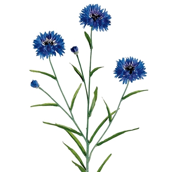 Cornflower - Cobalt Blue 25in