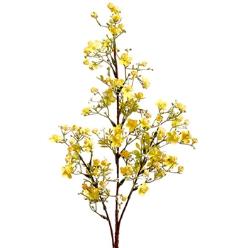 Blossom - Mini 2Tone 31in Yellow - FSB031-YE/TT