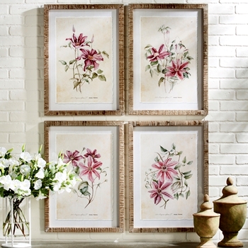 20W/28H Framed Print - Pink Clematis 4 Asst Sold Individually