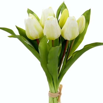 Tulip - Bundle X6 White 12in - FBQ165-WH