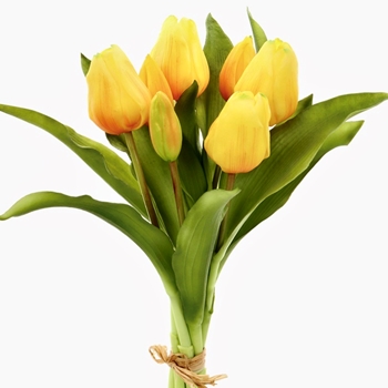 Tulip - Bundle X6 Yellow 12in - FBQ165-YE - REAL TOUCH