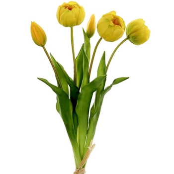 Tulip - Bundle X5 Yellow Green 17in - FBQ168-YE/GR