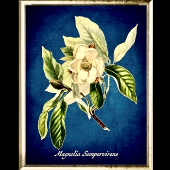 10W/12H Framed Glass Print Azure Magnolia Gold