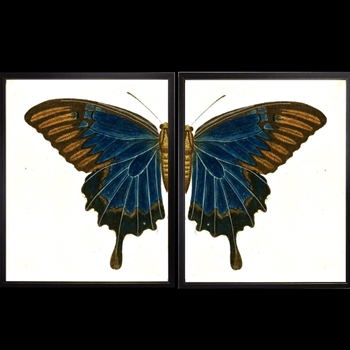 18W/12H Framed Glass Print Butterfly #KL Set2