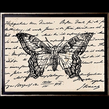 12W/10H Framed Glass Print - Postcard Butterfly