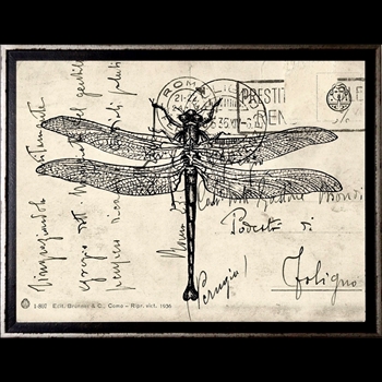 12W/10H Framed Glass Print - Dragonfly