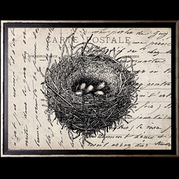 12W/10H Framed Glass Print - Postcard Bird Nest