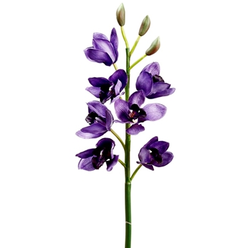 Orchid - Cymbidium Purple 47in - HSO589-PU