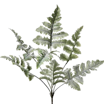 Fern - Blue Star 27in - PBF522-GR