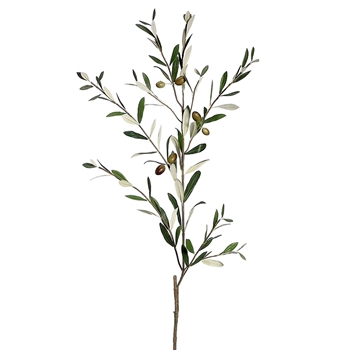 Olive Branch Stem