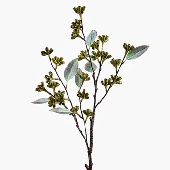 Seed Pod - Branch Verde Olive  32IN- FSP7368-GR