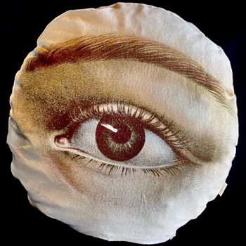 John Derian - Eye Sepia Cushion 18in Round, Down Insert