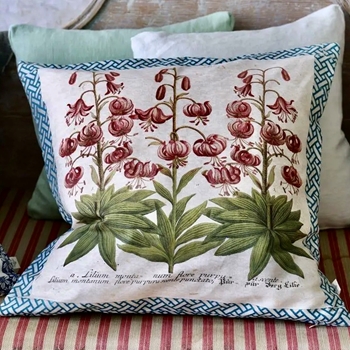 John Derian - Crown Lily Sepia Cushion 20SQ  Linen Cotton, Down Insert