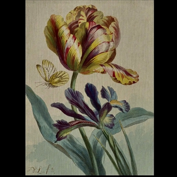 29W/40H Canvas Giclee - Tulip & Iris Linen