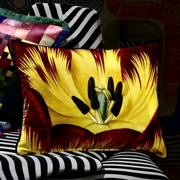 Lacroix - Eclosion Agate Cushion 24W/18H