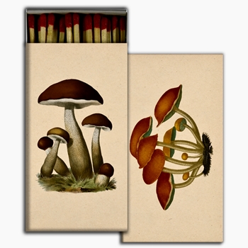 Matches - John Derian Mushrooms - 4x2in Box50