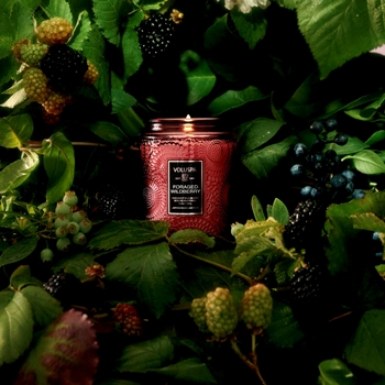 Voluspa - Japonica - Foraged Wildberry Small Glass Jar Candle 5.5oz 50HR