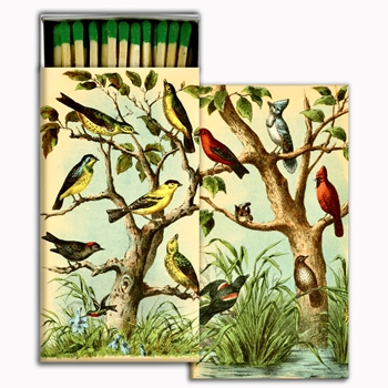 Matches - Bird Studies- 4x2in Box50