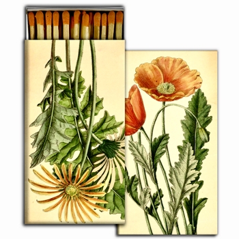 Matches - Poppy & Gerbera - 4x2in Box50