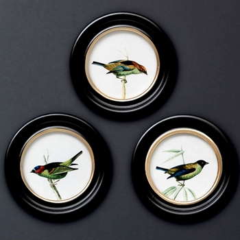 09W/09H - Round Framed Birds Asst 3 Sold Individually