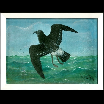 17W/13H Framed Print Seabird #3 - Kolene Spicher