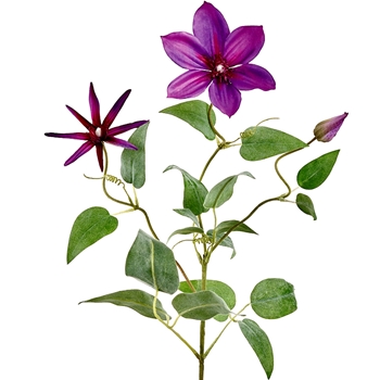 Clematis - Vine Pick 28in Purple - FSC504-PU/DK