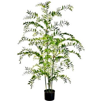 Asian BayberryTree 60in Black Pot Green LPB153-GR