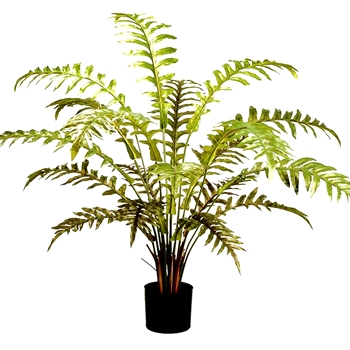 Fern - Forest Plant Black Pot 36in LQF036-GR