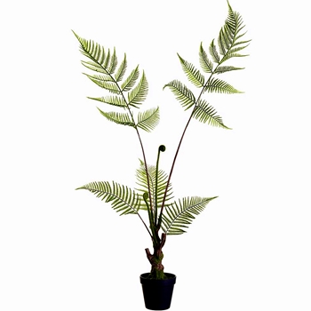 Fern - Woolly Plant Black Pot 38in LQF498-GR