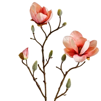 Magnolia - Pink W Buds 21in FSM424-PK