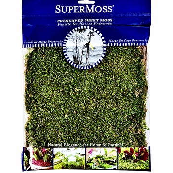 Moss Preserved - Sheet Moss Natural Green 2OZ  6x8in Bag