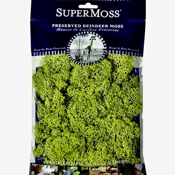 Moss Preserved - Reindeer Apple 2OZ - 6x8in  Bag