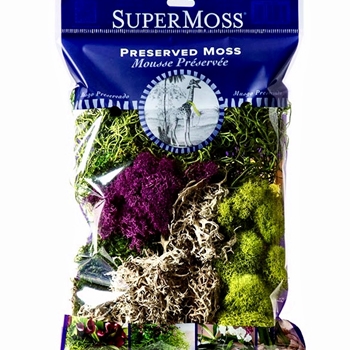 Moss Preserved - Mixed Favourites 2OZ - 6X8IN BAG