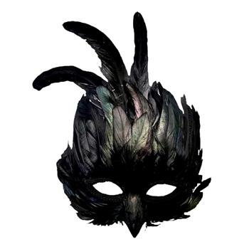 10W/09H  Mask - Black Feather Raven